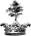 Tree-Crown Logo-Black
